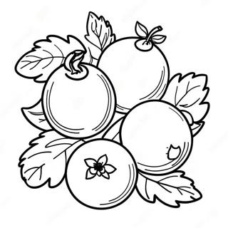 Renkli Tu Bishvat Meyveleri Boyama Sayfasi 101908-40280