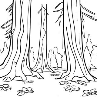 Kaliforniya Kirmizi Agac Ormani Boyama Sayfasi 102684-40882