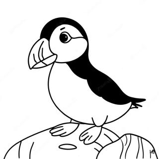 Oyunbaz Puffin Rock Hayvanları Boyama Sayfası Boyama Sayfaları