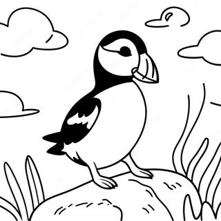 Oyunbaz Puffin Rock Hayvanları Boyama Sayfası Boyama Sayfaları