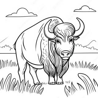 Bir Tarlada Gorkemli Buffalo Boyama Sayfasi 107640-44754