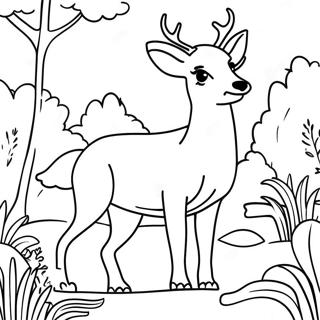 Canli Minnesota Yaban Hayati Boyama Sayfasi 110600 47124