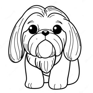 Shih Tzu Boyama Sayfaları