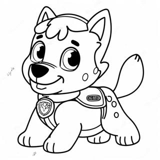 Rocky Paw Patrol Boyama Sayfasi 116387-51758