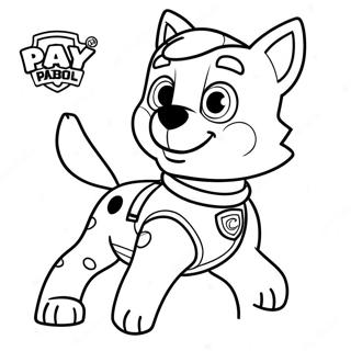 Rocky Paw Patrol Boyama Sayfasi 116387-51921