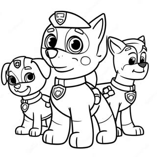 Rocky Paw Patrol Arkadaslariyla Boyama Sayfasi 116389-51767