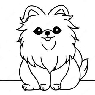 Pomeranian Boyama Sayfaları