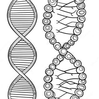 Dna Yapisi Boyama Sayfasi 129942-63010