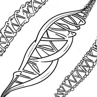 Dna Yapisi Boyama Sayfasi 129942-63011