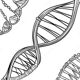 Dna Yapisi Boyama Sayfasi 129942-63012