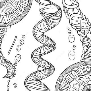 Dna Ikili Sarmal Boyama Sayfasi 138004-69434