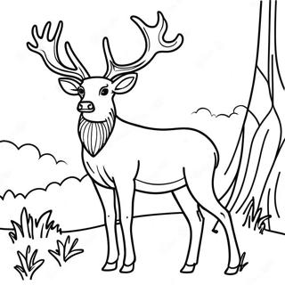 Sik Geyik Gururla Duruyor Boyama Sayfasi 18901 4131