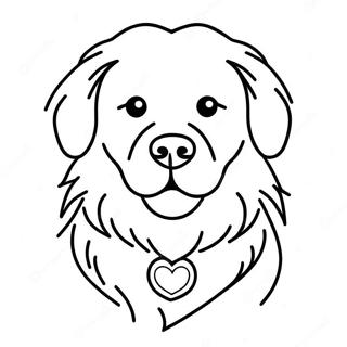 Kabartmali Golden Retriever Boyama Sayfasi 1901 2154