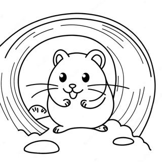 Tunelde Oynak Hamster Boyama Sayfasi 31648-6906