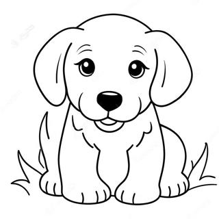 Sevimli Golden Retriever Yavru Boyama Sayfasi 67433 14753