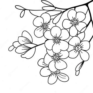 Nazik Kiraz Cicekleri Boyama Sayfasi 75552-18624