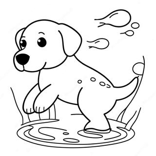 Labrador Boyama Sayfaları