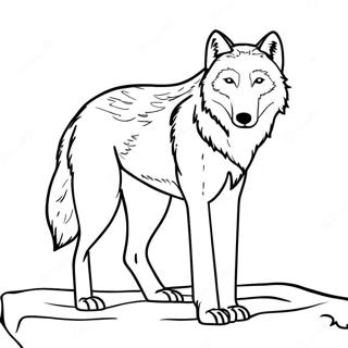 Sik Arktik Kurt Boyama Sayfasi 83345 24677