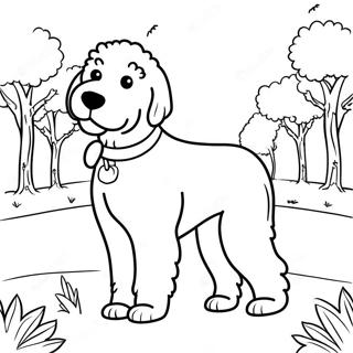 Parkta Kabarik Goldendoodle Boyama Sayfasi 85519-26454