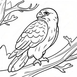 Ayrintili Sahin Yuva Yapma Boyama Sayfasi 92351 32010