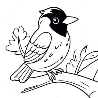 Parlak Tuyleri Olan Orioles Boyama Sayfasi 99397 38222